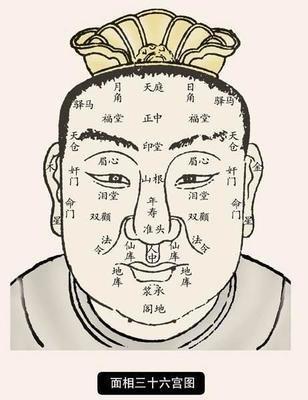 从鼻子看命运大全 怎么通过鼻子面相了解命运