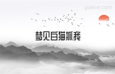 做梦梦见白猫想要抓自己但没抓到,我想要轰走白猫