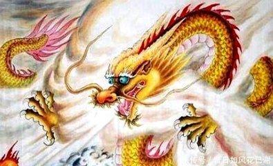 从蛇年出生的人的命运怎么看其2025年财运