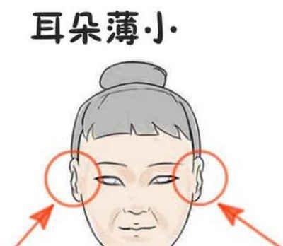 分析三种女人无福的面相 面相知道哪些女人没有福气