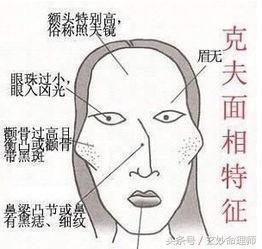 关于女人嘴唇的面相看命运吉凶(上篇) 关于女人嘴唇的面相看命运吉凶(上篇)
