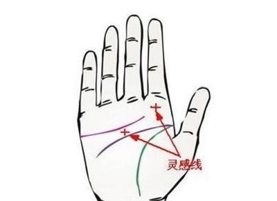 全面解说智慧线分叉图解 智慧线分叉好还是不好