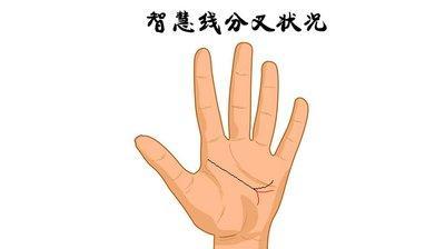 全面解说智慧线分叉图解 智慧线分叉好还是不好