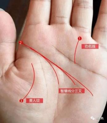 分析手纹智慧线很长是不是真的就好呢