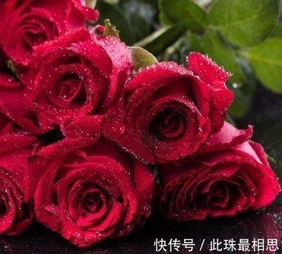 双子男爱上你会有什么举动 怎么证明双子男爱上你