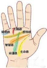 双手断掌代表着什么意思 双手断掌的人运势如何