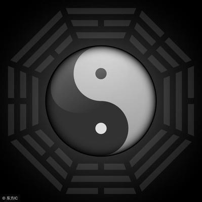 八卦震象征什么(八卦象征什么动物)