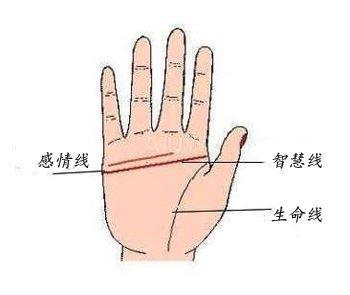 双手断掌纹的男人命运分析 男人双手断掌好吗