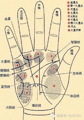 双手断掌纹的男人最精准分析不要错过