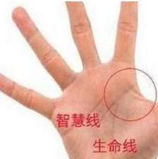 双手生命线短代表了什么 生命线短的含义详解