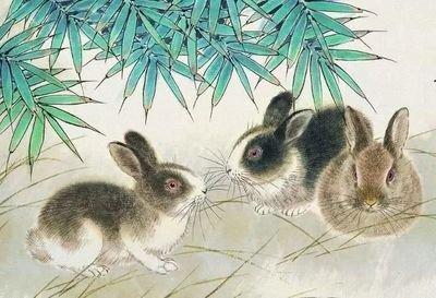 刑太岁之年里生肖兔会遇到哪些麻烦要注意些什么