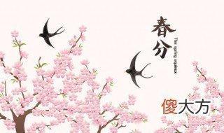 关于春分的谚语大全解析,春分要做什么事情