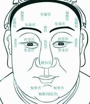 关于牛鼻面相解析 牛鼻的人天生财运很好