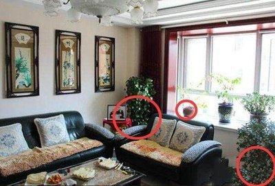 卧室风水如何旺财 想旺财卧室应该如何布置