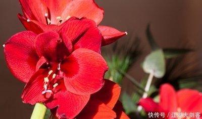 十二星座里谁最爱逞强 第一名是你吗