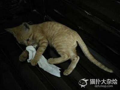 做梦梦见自己飞得太高吓醒,总感到不安