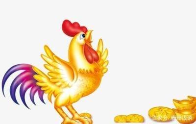 十二月生肖鸡的运势2025 今年生肖鸡的运气如何 十二月生肖鸡的运势2025 今年生肖鸡的运气如何