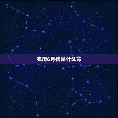 农历一月出生的属狗人命运解析超全