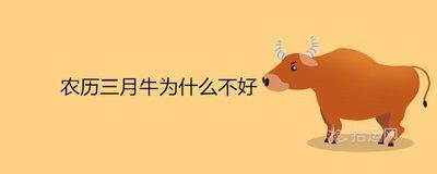 农历七月二十二出生的孩子命运好吗 能不能富贵