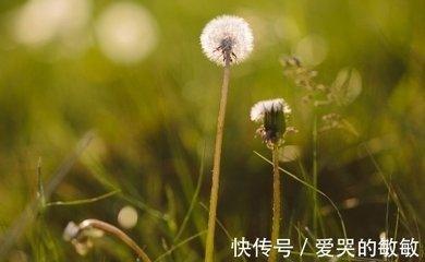 农历七月出生的人命运怎样 七月出生的人就不好吗