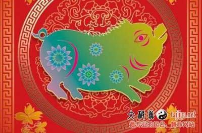 农历七月出生的猪宝宝起什么名字好 你看了就会懂