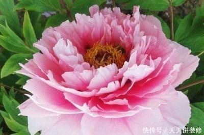 农历三月十八出生的人命好吗 日后生活会怎样