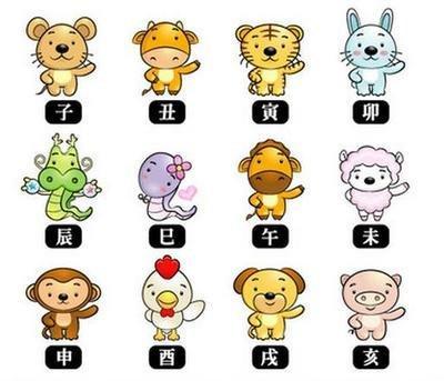 十二生肖中哪个属相最好 命运好的生肖是哪几个