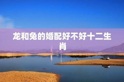 十二生肖中属兔的人命运如何 蛇年出生的人命好吗