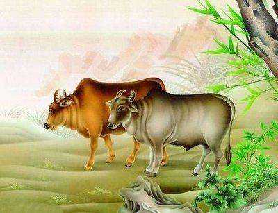 十二生肖中属牛的人命运如何 什么时辰出生好