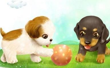 十二生肖中属狗的人命运如何 分析属狗人的一生