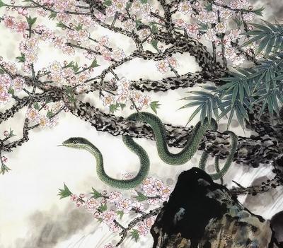 十二生肖中属蛇的人命运如何超详细