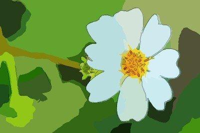 十二生肖中最爱较真的生肖 眼里容不下一颗沙子 十二生肖中最爱较真的生肖 眼里容不下一颗沙子