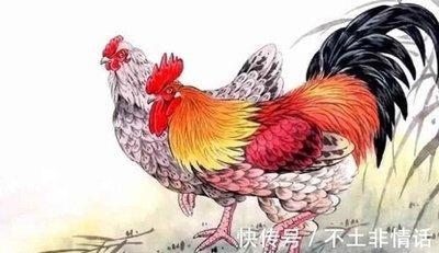 十二生肖中最表里不一的生肖有哪几个城府很深性格