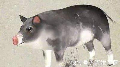 十二生肖中气场强大的四大生肖有魄力