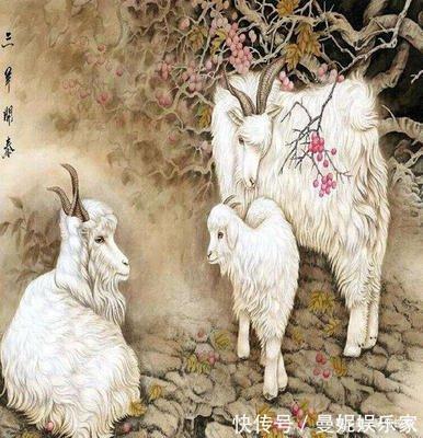十二生肖中爱招祸是非 喜欢惹是生非