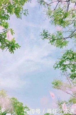 十二生肖中的这三大生肖很懒惰爱拖拉