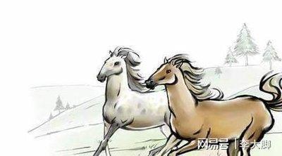 十二生肖中脾气很大的4个生肖天生急性子性格