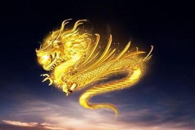 十二生肖中这三大生肖在职场上往往有很强的能力易成功