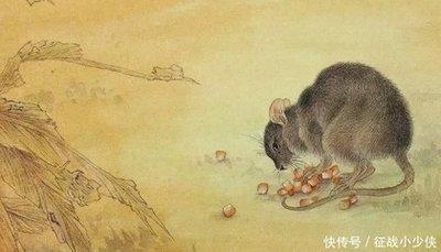 十二生肖中非常有礼貌的三大生肖好相处性格