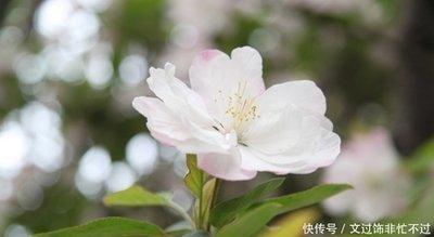 变脸比较快猜什么生肖 说翻脸就翻脸