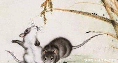 十二生肖什么属相最有钱 容易成为有钱人的生肖