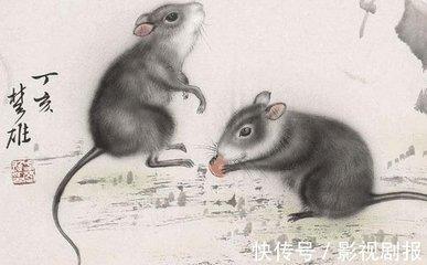口是心非的动物打生肖 什么生肖的人总爱口是心非
