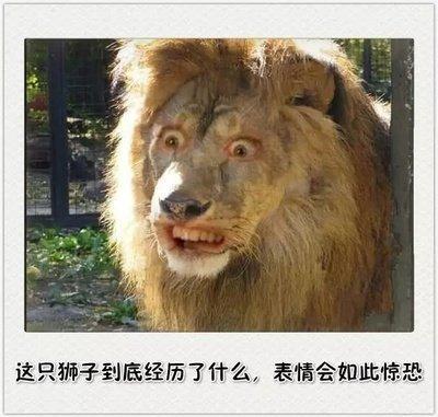 十二生肖什么肖没地位 在家一点地位都没有