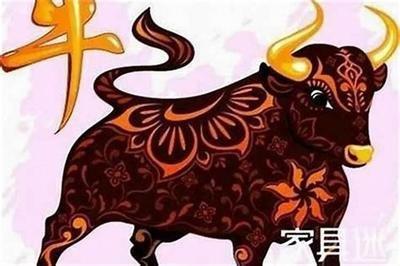 十二生肖今年多大,12生肖2025年几岁年龄 十二生肖今年多大,12生肖2025年几岁年龄