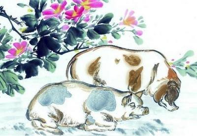 卯时属猪人的命运 属猪卯时生人怎么样