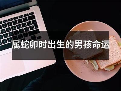 卯时属蛇人的命运 属蛇卯时生人怎么样