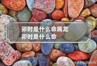 卯时属龙人的命运 属龙卯时生人怎么样