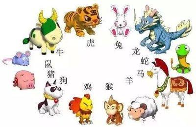 十二生肖受欢迎排行榜 最受欢迎的生肖是哪几个