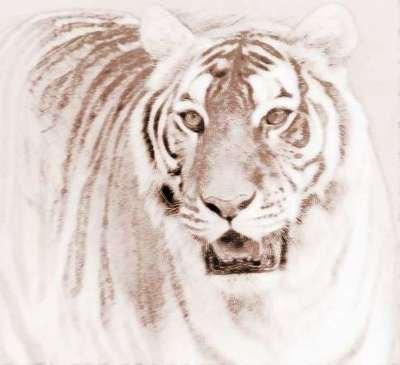 十二生肖吉祥物 属虎有哪些开运吉祥物 十二生肖吉祥物 属虎有哪些开运吉祥物