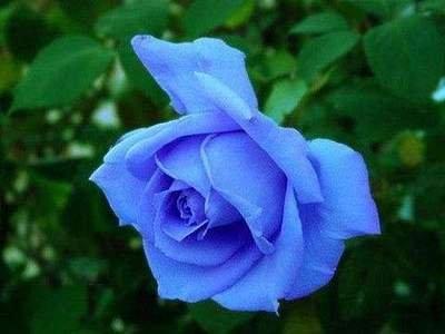 八字桃花运旺的人 受到异性欢迎的人